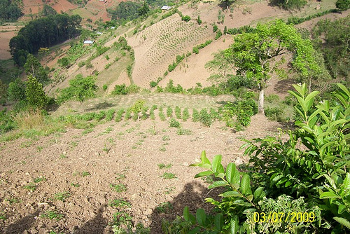 Degraded Hillside in Uganda