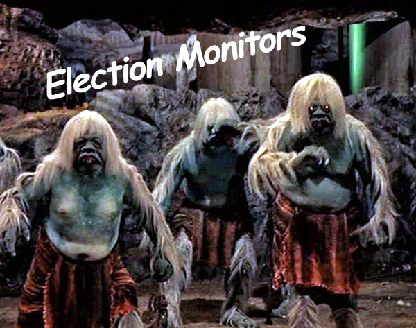 election-monitors