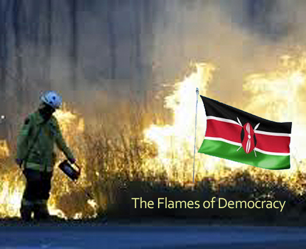 flamesofdemocracy